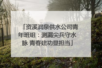 资溪润泉供水公司青年班组：测漏尖兵守水脉 青春建功显担当