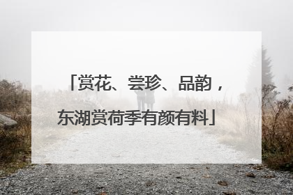 赏花、尝珍、品韵，东湖赏荷季有颜有料