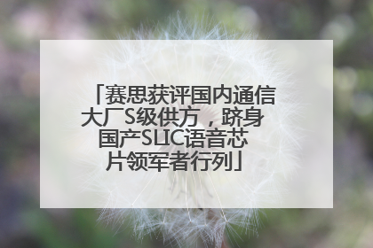 赛思获评国内通信大厂S级供方，跻身国产SLIC语音芯片领军者行列