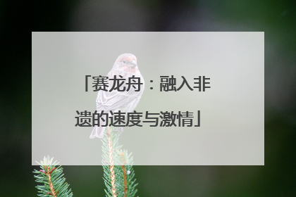 赛龙舟：融入非遗的速度与激情