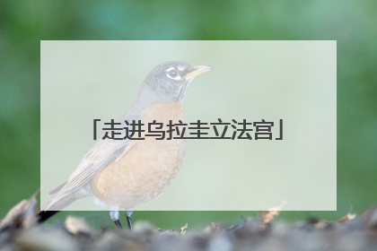 走进乌拉圭立法宫