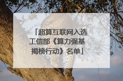 超算互联网入选工信部《算力强基揭榜行动》名单