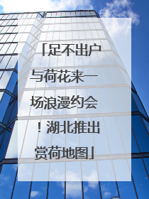 足不出户与荷花来一场浪漫约会！湖北推出赏荷地图