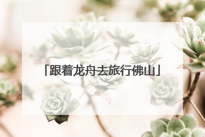 跟着龙舟去旅行佛山