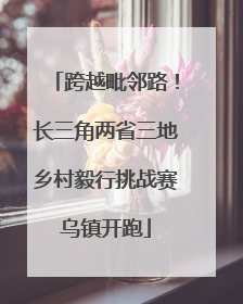 跨越毗邻路！长三角两省三地乡村毅行挑战赛乌镇开跑