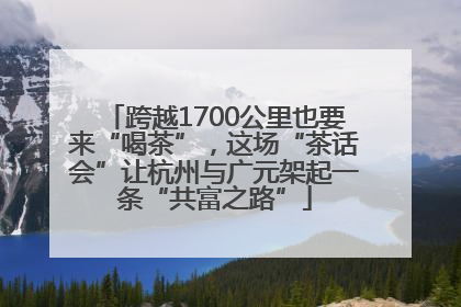 跨越1700公里也要来“喝茶”，这场“茶话会”让杭州与广元架起一条“共富之路”
