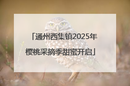 通州西集镇2025年樱桃采摘季甜蜜开启