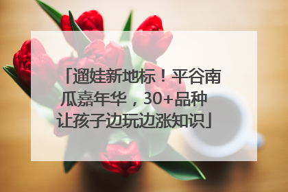 遛娃新地标！平谷南瓜嘉年华，30+品种让孩子边玩边涨知识