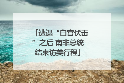 遭遇“白宫伏击”之后 南非总统结束访美行程