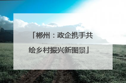 郴州：政企携手共绘乡村振兴新图景