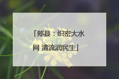 郏县：织密大水网 清流润民生