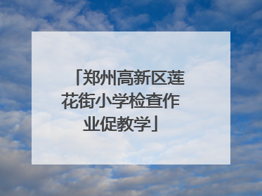 郑州高新区莲花街小学检查作业促教学