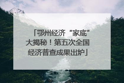 鄂州经济“家底”大揭秘！第五次全国经济普查成果出炉