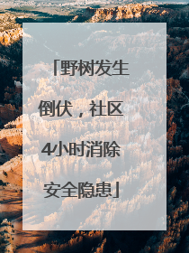 野树发生倒伏，社区4小时消除安全隐患