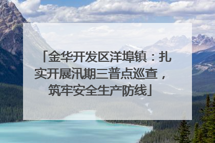 金华开发区洋埠镇：扎实开展汛期三普点巡查，筑牢安全生产防线