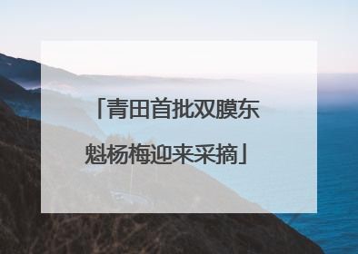 青田首批双膜东魁杨梅迎来采摘