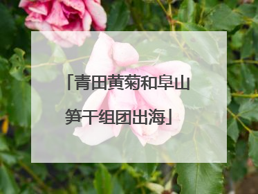 青田黄菊和阜山笋干组团出海