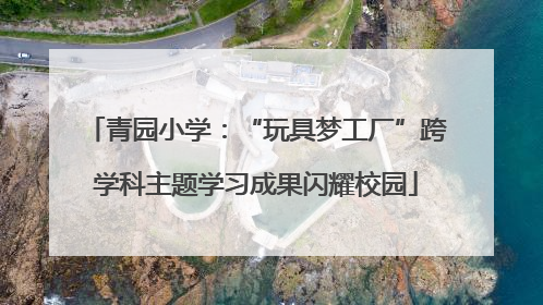 青园小学：“玩具梦工厂”跨学科主题学习成果闪耀校园