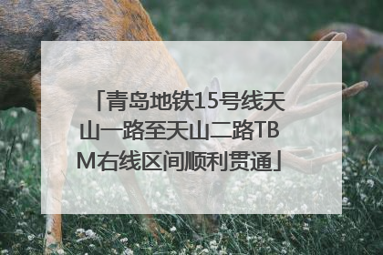 青岛地铁15号线天山一路至天山二路TBM右线区间顺利贯通