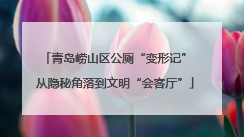 青岛崂山区公厕“变形记” 从隐秘角落到文明“会客厅”