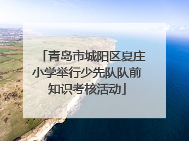 青岛市城阳区夏庄小学举行少先队队前知识考核活动