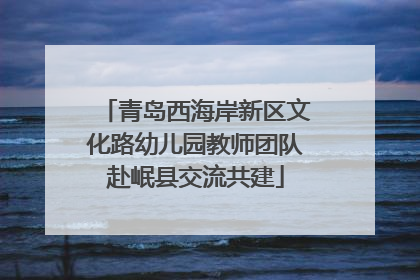 青岛西海岸新区文化路幼儿园教师团队赴岷县交流共建
