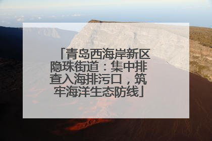 青岛西海岸新区隐珠街道：集中排查入海排污口，筑牢海洋生态防线