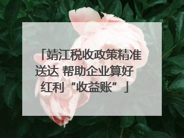 靖江税收政策精准送达 帮助企业算好红利“收益账”