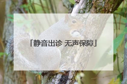 静音出诊 无声保障
