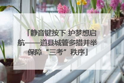 静音键按下 护梦想启航——道县城管多措并举保障“三考”秩序