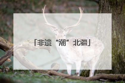 非遗“潮”北疆