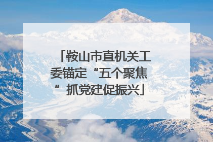 鞍山市直机关工委锚定“五个聚焦”抓党建促振兴