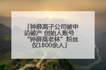 钟薛高子公司被申请破产 创始人账号“钟薛高老林”粉丝仅1800余人
