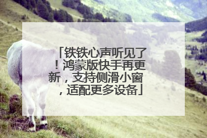 铁铁心声听见了！鸿蒙版快手再更新，支持侧滑小窗，适配更多设备