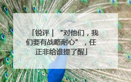 锐评｜“对他们，我们要有战略耐心”，任正非给谁提了醒