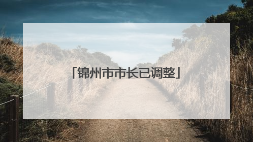 锦州市市长已调整