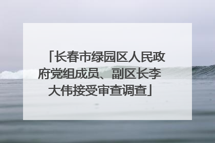 长春市绿园区人民政府党组成员、副区长李大伟接受审查调查
