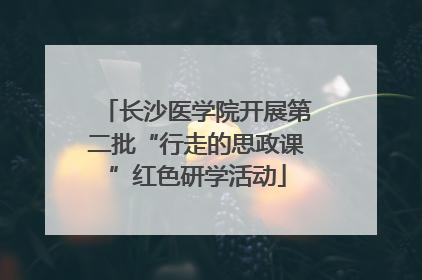 长沙医学院开展第二批“行走的思政课”红色研学活动