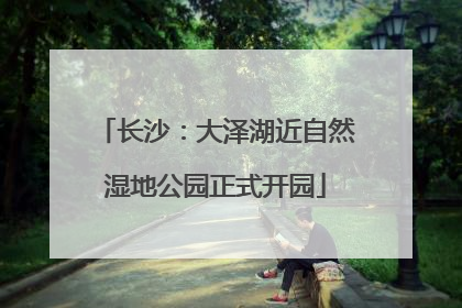 长沙：大泽湖近自然湿地公园正式开园