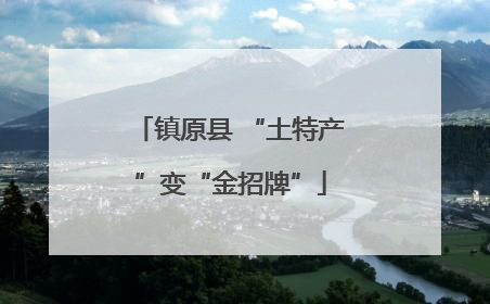 镇原县 “土特产”变“金招牌”