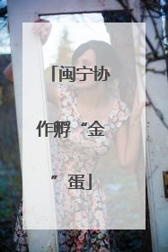 闽宁协作孵“金”蛋