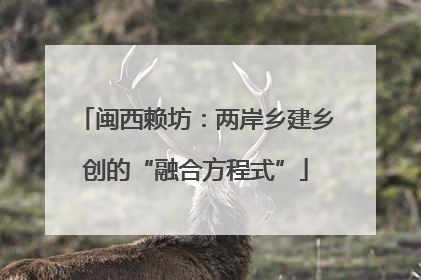 闽西赖坊：两岸乡建乡创的“融合方程式”
