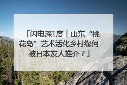 闪电深1度｜山东“桃花岛”艺术活化乡村缘何被日本友人推介？