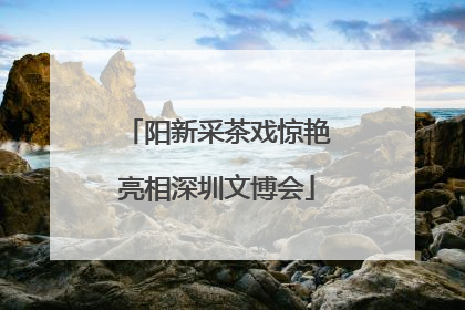 阳新采茶戏惊艳亮相深圳文博会