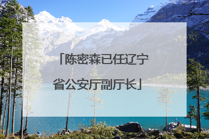 陈密森已任辽宁省公安厅副厅长