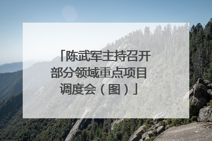 陈武军主持召开部分领域重点项目调度会（图）