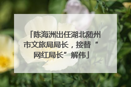陈海洲出任湖北随州市文旅局局长，接替“网红局长”解伟