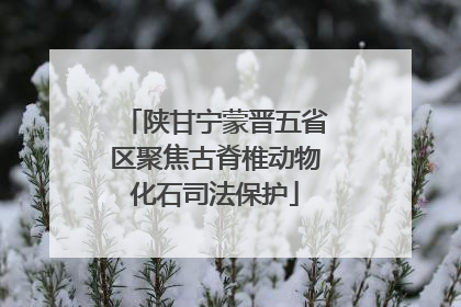 陕甘宁蒙晋五省区聚焦古脊椎动物化石司法保护