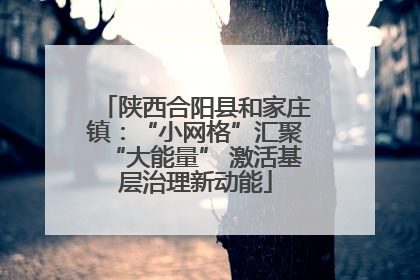 陕西合阳县和家庄镇：“小网格”汇聚“大能量” 激活基层治理新动能