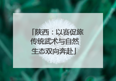 陕西：以赛促旅 传统武术与自然生态双向奔赴